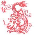 飞龙 dragon