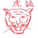 猛虎,老虎 tiger
