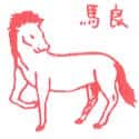 良马 horse