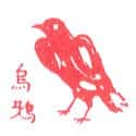 乌鸦 乌鸦 crow
