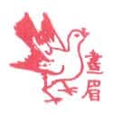 画眉鸟 画眉鸟 thrush