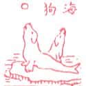 海狗 seal
