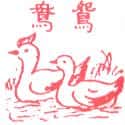 鸳鸯 teal,mandarin duck