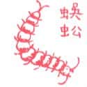 蜈蚣 centipede