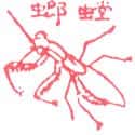 螳螂 螳螂 mantis