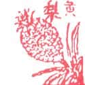 黄梨 黄梨 pineapple