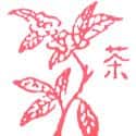 茶 tea