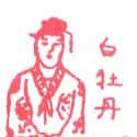 白牡丹 白牡丹