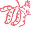 扁豆 扁豆 hyacinth bean