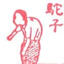 驼子 hunchback