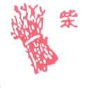 柴枝 柴枝 firewood