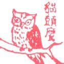 猫头鹰 猫头鹰 owl