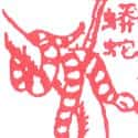 蟒蛇 蟒蛇 python