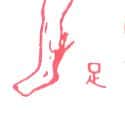 足 leg