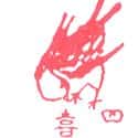四喜鸟 magpie Robin