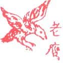 老鹰 老鹰 eagle