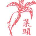 萝卜 carrot