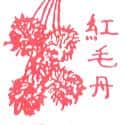 红毛丹 rambutan
