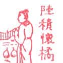 陆积怀橘 陆积怀橘
