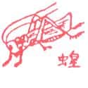 蚱蜢 蚱蜢 grasshopper