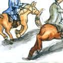 看跑马 watch horse racing