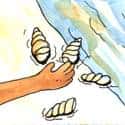 捉蚬 catch clams
