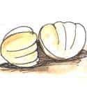 蚌 蚌 mussel