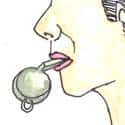 吹警笛 blow whistle