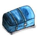 皮箱 leather suitcase