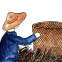收谷,收稻米,收栗 collect rice,keep rice