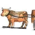 牛车 牛车 oxcart