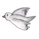 飞鸟 birds