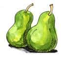 梨子 pear