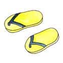 拖鞋 slipper