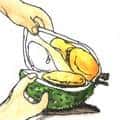 吃榴莲 吃榴莲 eat durian
