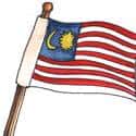 旗 flag