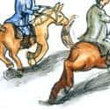 跑马 Horse racing