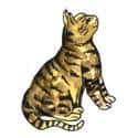 猫 cat