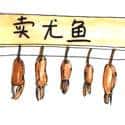 卖鱿鱼 selling squid