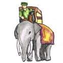 骑象 riding elephant