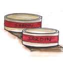 沙丁鱼,沙丁鱼罐头 sardine can