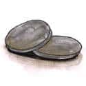 铜币 铜币 coin