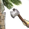砍椰树 cut coconut trees