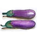 茄子 eggplant