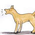 狗吠 dog yelping