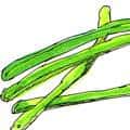 菜豆 kidney bean