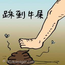 踩到牛屎 stepped on cow dung