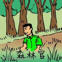 森林官 forest ranger
