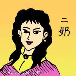 二奶 second wife