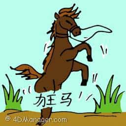 狂马 wild horse